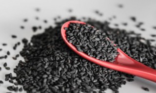 黑芝麻糊汤圆馅的做法 黑芝麻糊汤圆馅怎样做