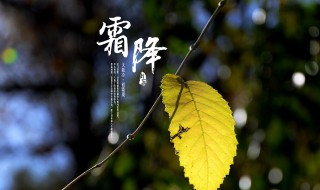 霜降发生在什么季节 霜降时间