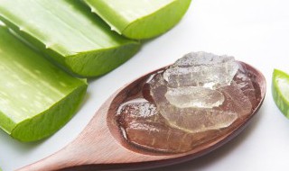 芦荟胶的作用和使用方法 芦荟胶的作用和使用方法是什么
