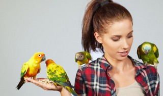 鹦鹉品种 鹦鹉品种是什么