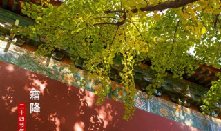 霜降是什么季节 什么是霜降