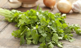 冷库储存香菜的方法 冷库储存香菜的方法是什么