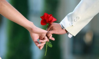 关于偏爱的短句子 盘点关于偏爱的短句子