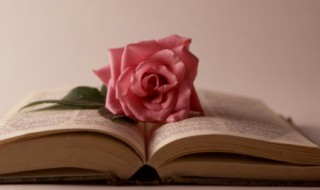 舟过安仁主要内容（舟过安仁的主要内容）