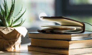 有关重阳节诗（有关重阳节诗句古诗）