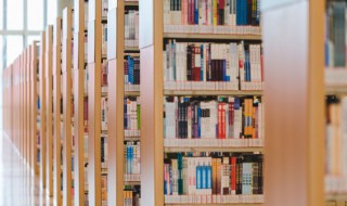 一个吉一个页是什么字 一个纟一个吉一个页是什么字