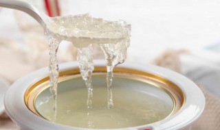 什么季节吃燕窝效果好 什么季节吃燕窝效果最好