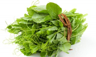 豌豆尖是发物吗 豌豆尖是发物吗?