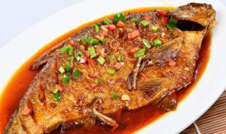 鲫鱼怎么红烧(鲫鱼的做法大全)