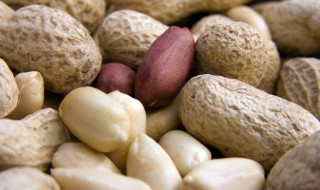 花生和鸡蛋怎么做好吃 花生煮鸡蛋的做法