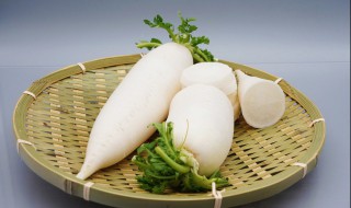 萝卜白菜怎么炒（萝卜和白菜怎么炒）