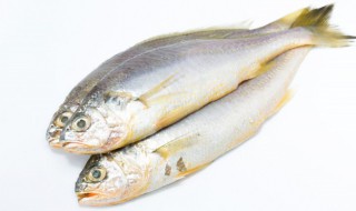 鱼有柴油味怎么回事（鱼有柴油味是怎么了）