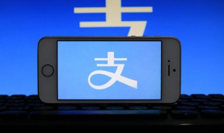 杭州社保个人怎么交纳（杭州个人缴纳社保应该怎么交）