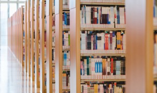 重阳节的格言 重阳节的句子名言