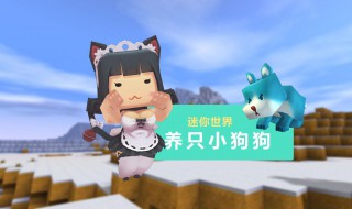 迷你世界狗狗怎么繁殖 迷你世界新版狗怎么繁殖后代