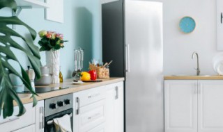 东芝冰箱怎么快速制冰（东芝冰箱快速冷冻）