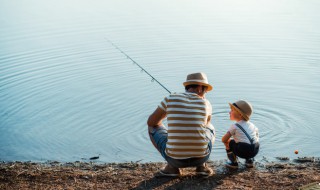 钓草鱼用的玉米怎么泡 钓草鱼的玉米怎么泡制