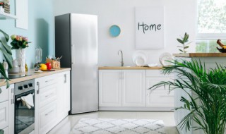 冰箱接水盘怎么拿出来 西门子冰箱接水盘怎么拿出来