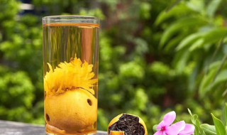 柠檬菊怎么泡（一颗柠檬菊怎么泡）