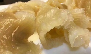 鳘鱼胶怎么泡(鳘鱼胶要泡多久)