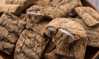 杜仲怎么泡酒（骨碎补和杜仲怎么泡酒）