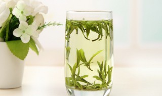 茶该怎么泡(茶水应该怎么泡)