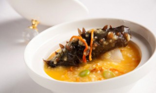 鲜海参储存方法（鲜海参如何储存）