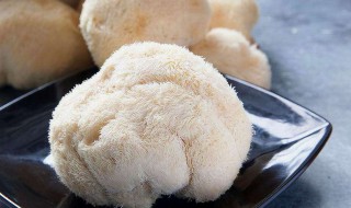 猴头菇的储存方法 新鲜猴头菇的储存方法