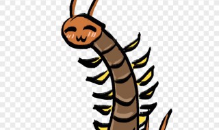 被小蜈蚣咬了怎么处理 被小蜈蚣咬了怎么处理方法