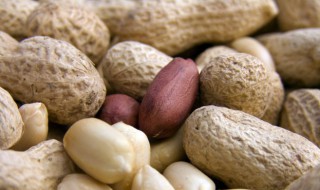 墨兰用花生壳怎么种植 墨兰用花生壳种多长时间浇水