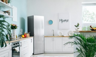 冰箱长虫子怎么处理（冰箱长虫子怎么办）