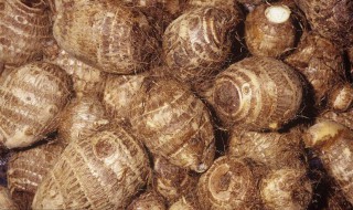 芋头稀饭怎么做好吃 芋头饭怎样做好吃