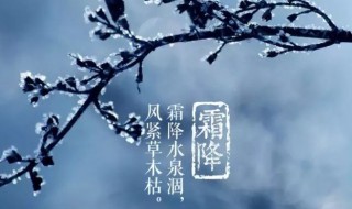 关于霜降景色的古诗词（关于霜降的古诗大全）