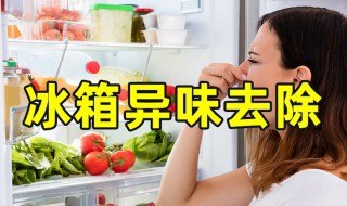 冰箱怎么快速除味 冰箱怎样快速除味