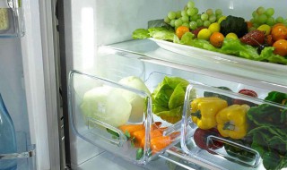 怎么给冰箱除味 冰箱怎么去除味