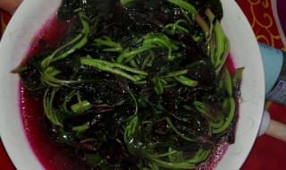 红汗菜怎么炒好吃（红汗菜怎么炒好吃视频）