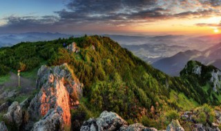 重阳节民间习俗民俗活动（重阳节的风俗）