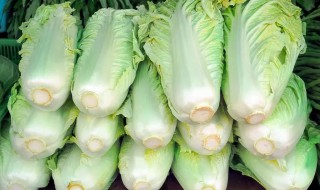 大量储存白菜的方法（白菜如何大量储存）
