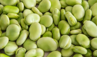 鲜蚕豆的储存方法（鲜蚕豆怎么保存好）