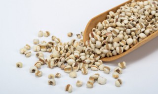 薏米储存方法 薏米保存方法