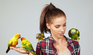 被鸟咬了怎么办 被鸟咬了没事吧