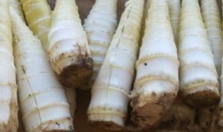 春笋放冰箱怎么处理(春笋放冰箱里能放多久)