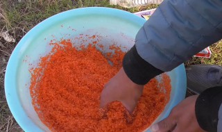 怎么泡鲫鱼窝料（如何泡鲫鱼窝料）