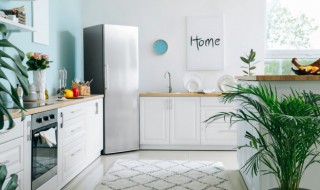 冰箱异味怎么办 冰箱有异味咋整