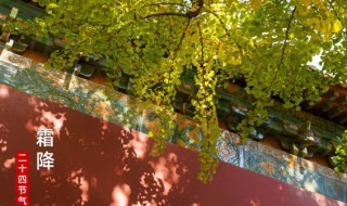 2022年霜降时间几点几分几秒 霜降是几月几号2021几点几分