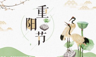 关于重阳节的对联 关于重阳节的对联或诗句