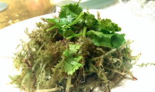 鹿角菜怎么泡发(干鹿角菜怎么清洗泡发窍门)