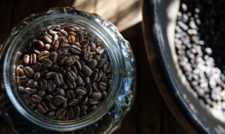 猫屎咖啡怎么泡 如何泡猫屎咖啡