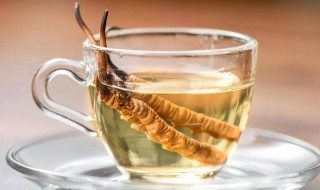 虫草泡水喝怎么泡 虫草怎么泡水喝?