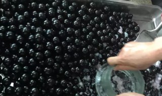 嘉宝果泡酒怎么泡（嘉宝果怎么泡酒?）